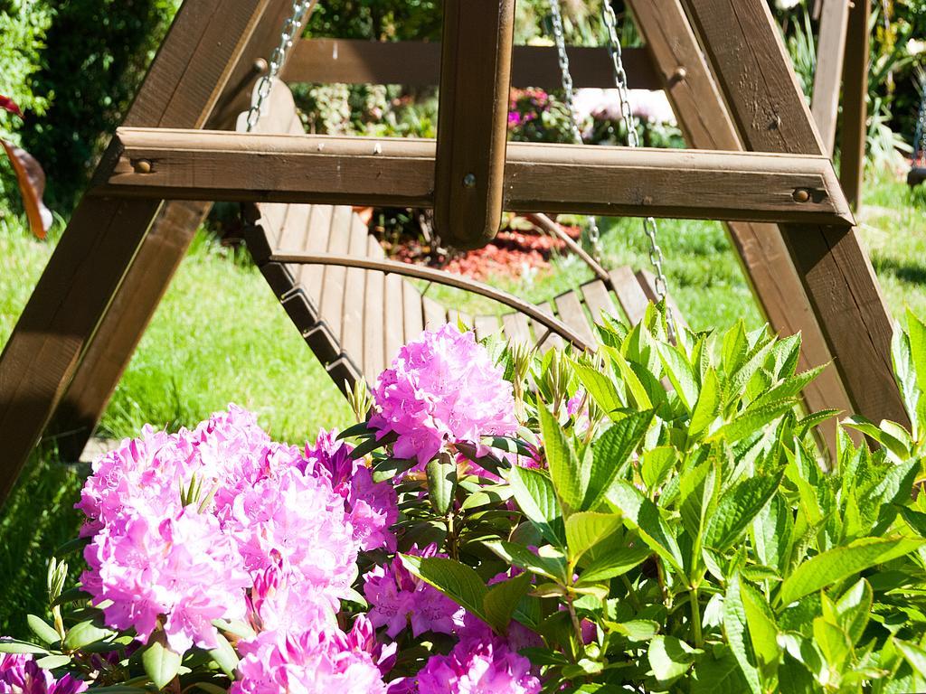 Słoneczny Dwór Bed and breakfast